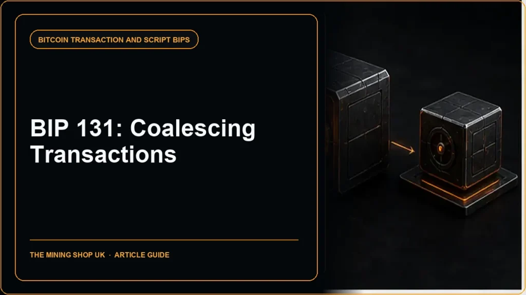 BIP 131 Coalescing Transaction Specification (wildcard inputs) guide cover