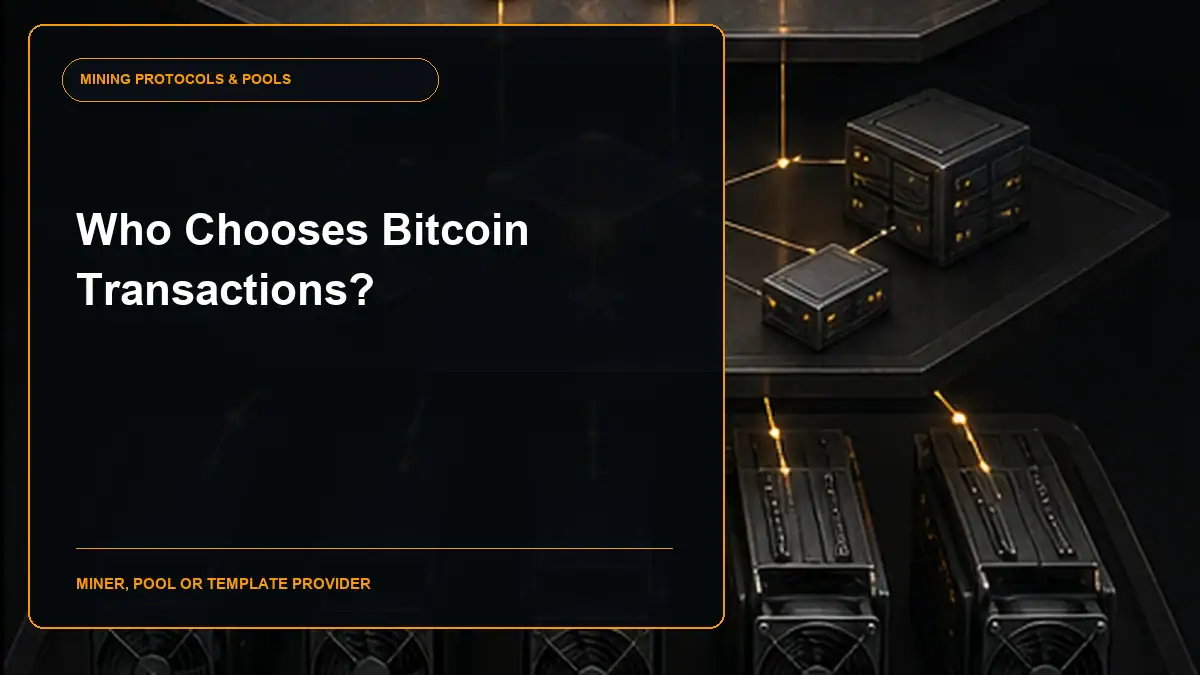 who chooses Bitcoin transactions guide cover