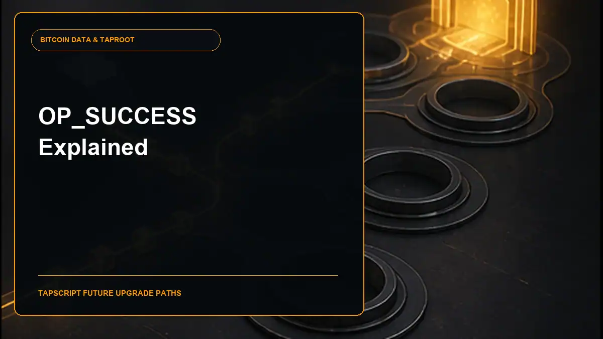 OP_SUCCESS explained guide cover