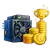 Trophy with coins icon
