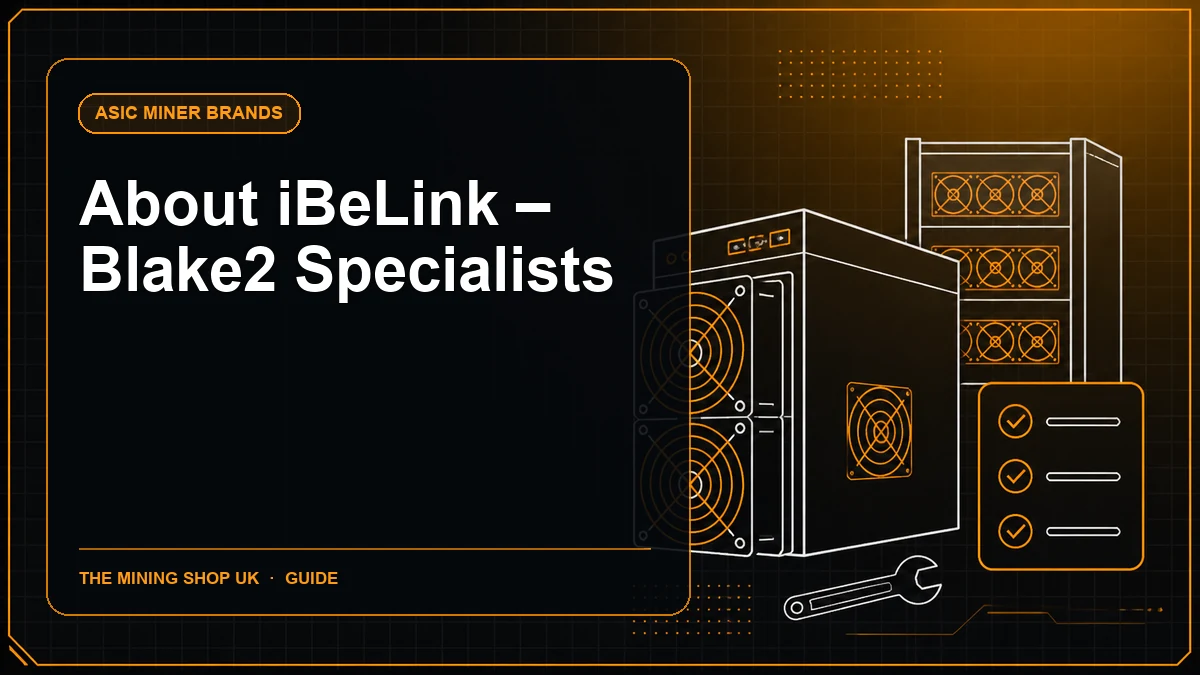 About iBeLink – Blake2 Specialists guide cover